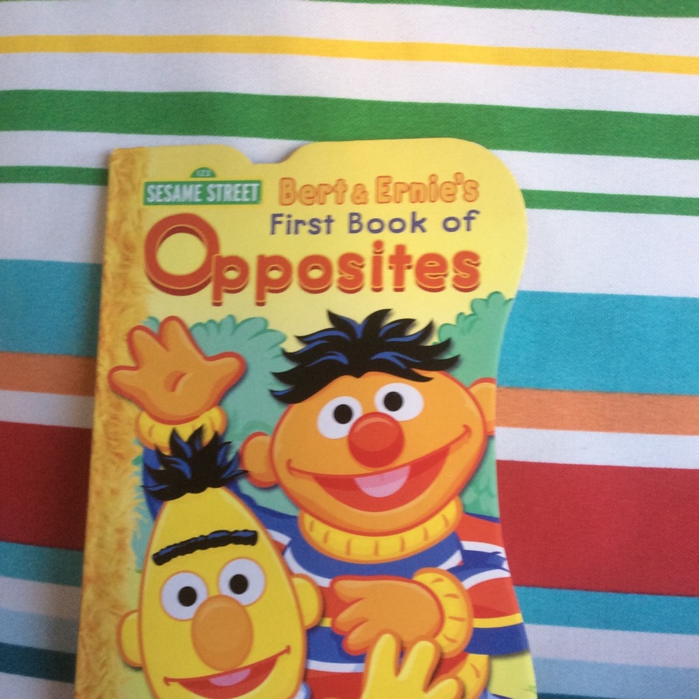 Sesame Street Bert and Ernie‘s Opposites EUC